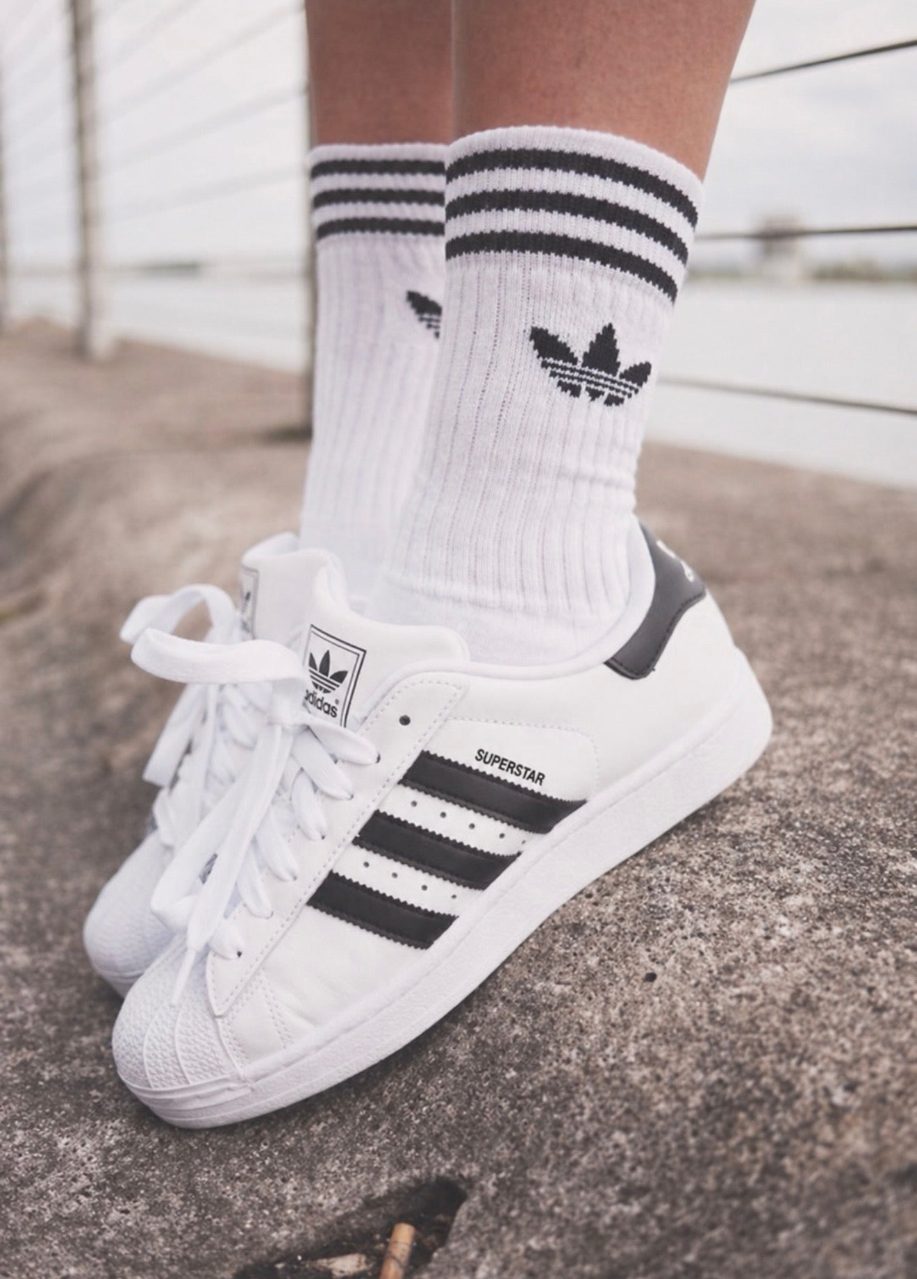 j.Adidas Super Star
